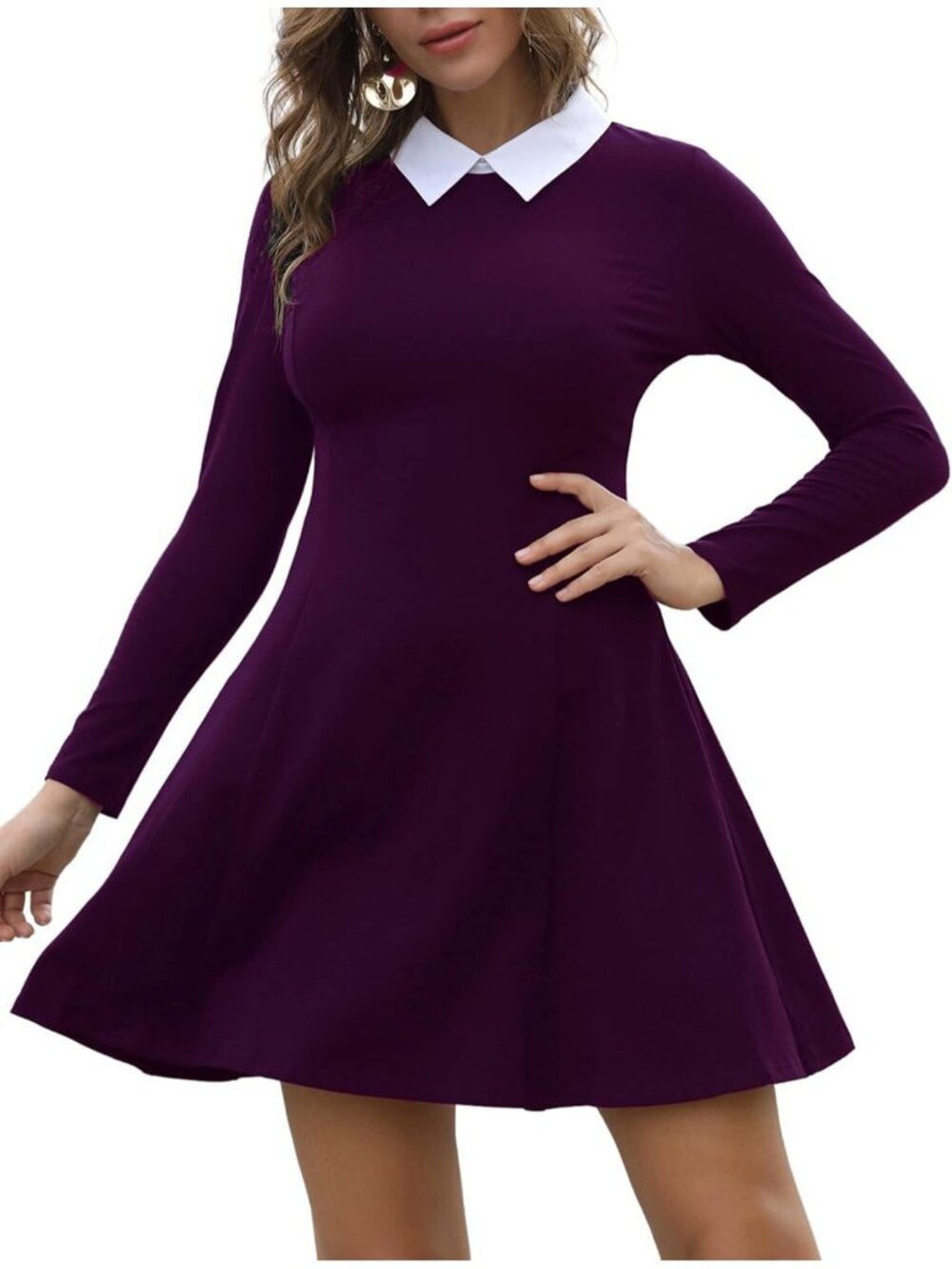 Women's Purple Long Sleeve Peter Pan Collar A Line Fit & Flare Skater Goth Dress